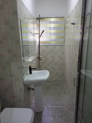 Combined shower/bathtub