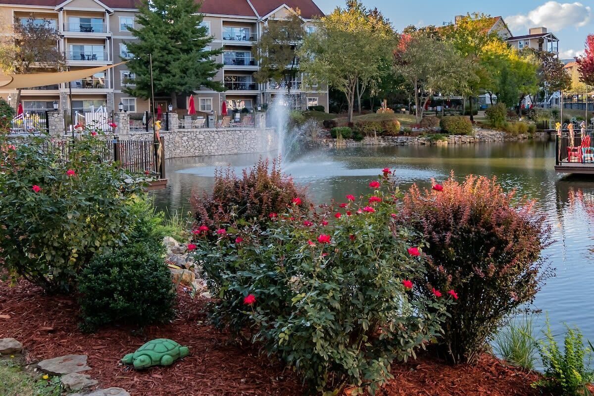 Overnatningsstedets område