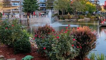 Overnatningsstedets område