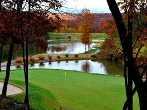 A golf course with a pond, trees, and a flag on the green.
