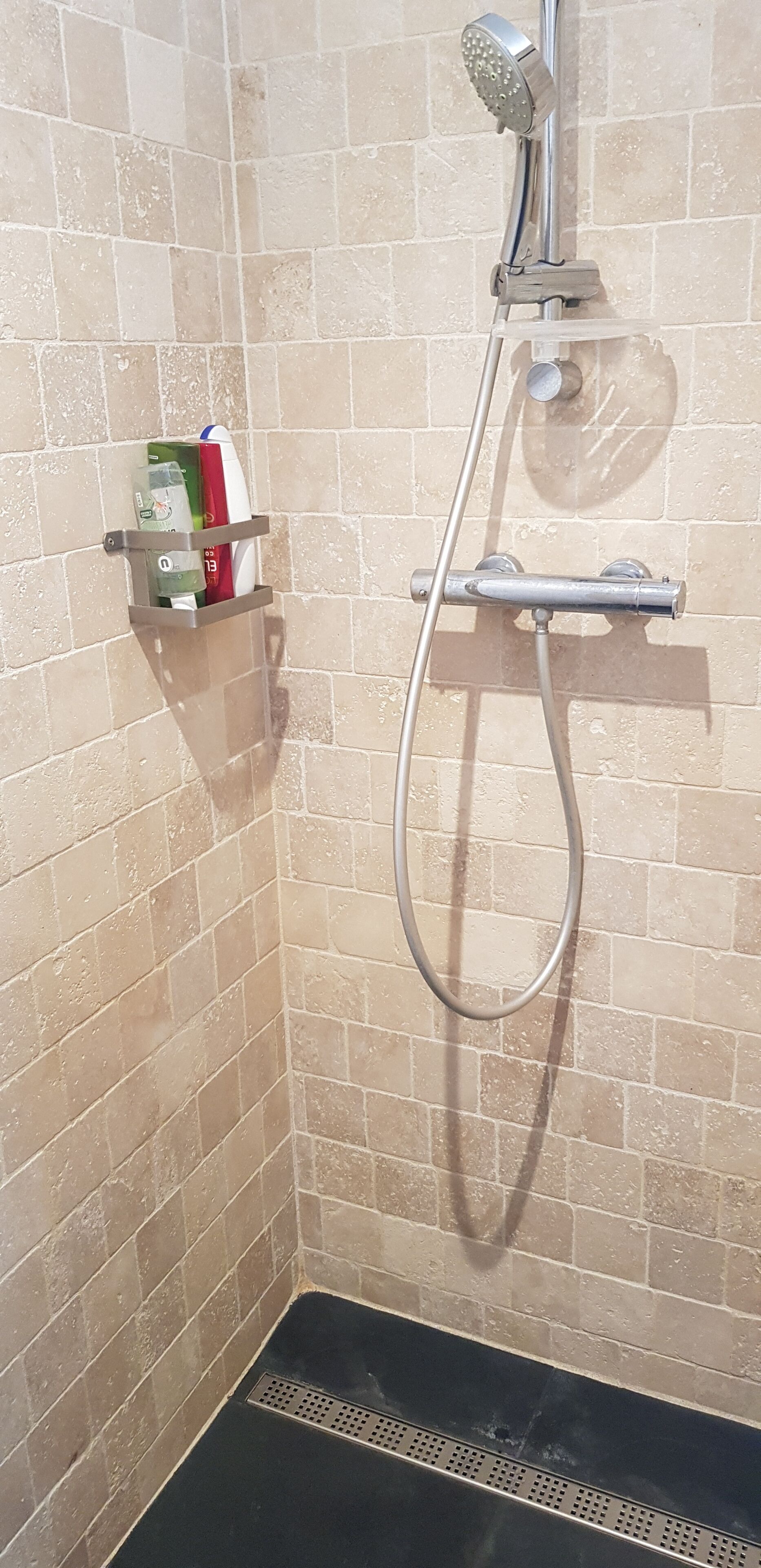 Shower, hair dryer, soap, toilet paper