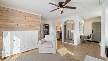 Smart TV, fireplace, books