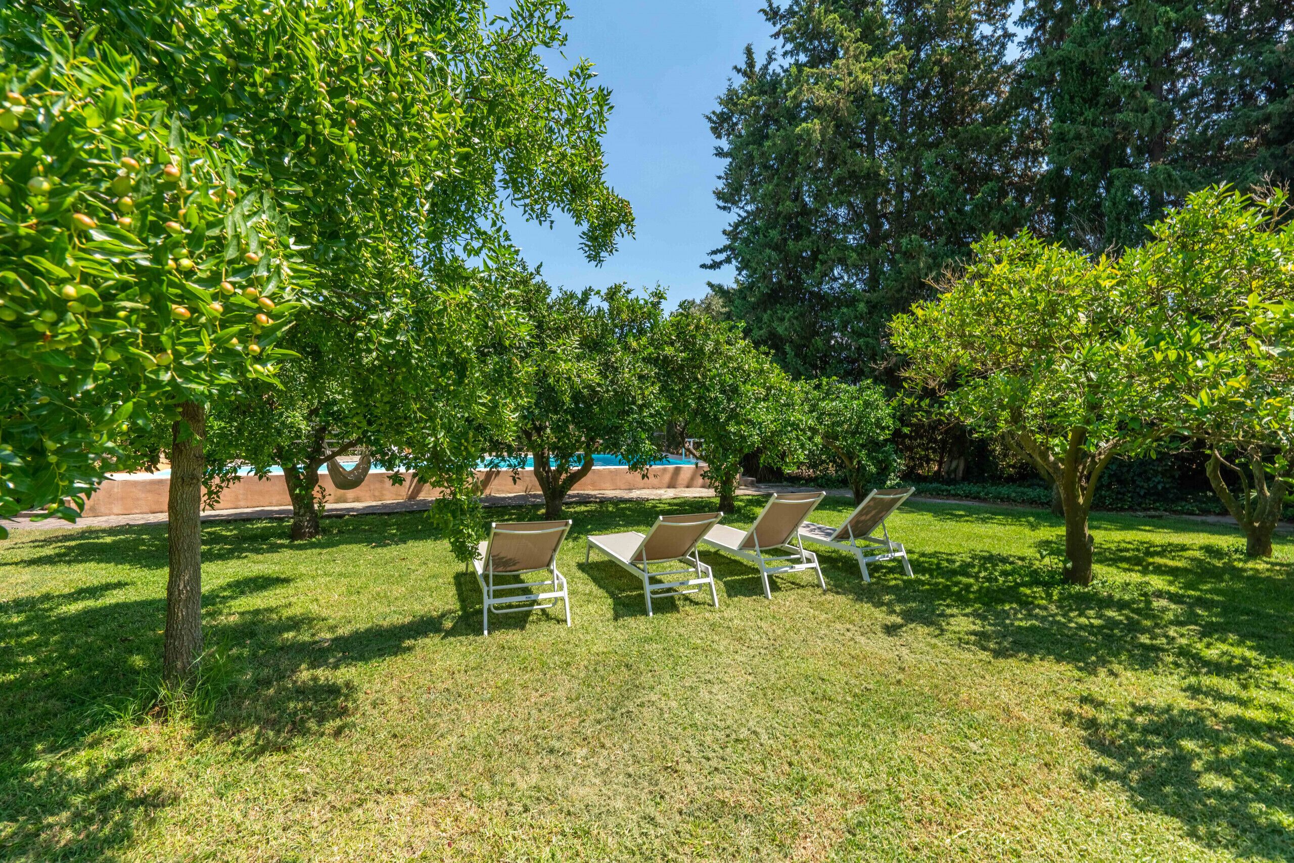 A grassy area with four lounge chairs and a hammock under trees.