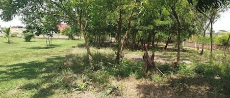 Parco della struttura