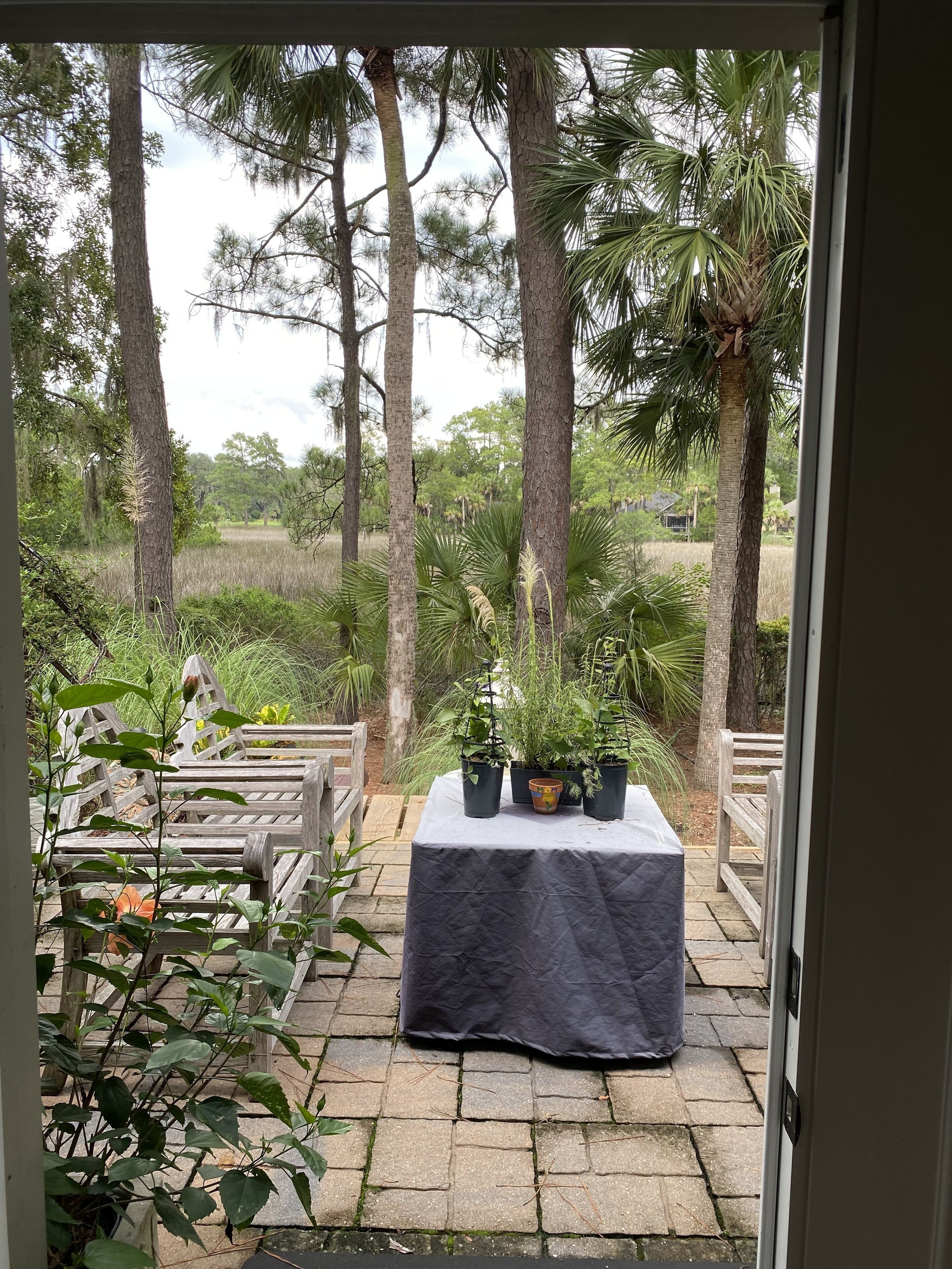 A bit of Paradise with great views.