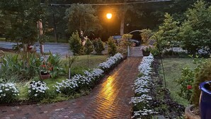 A brick pathway leading through a garden with various plants and flowers. - Greenwood Bed & Breakfast (Greensboro)