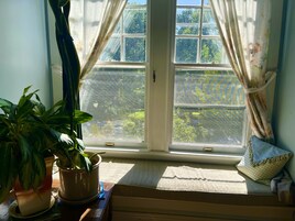 Deluxe Oda | Park manzarası