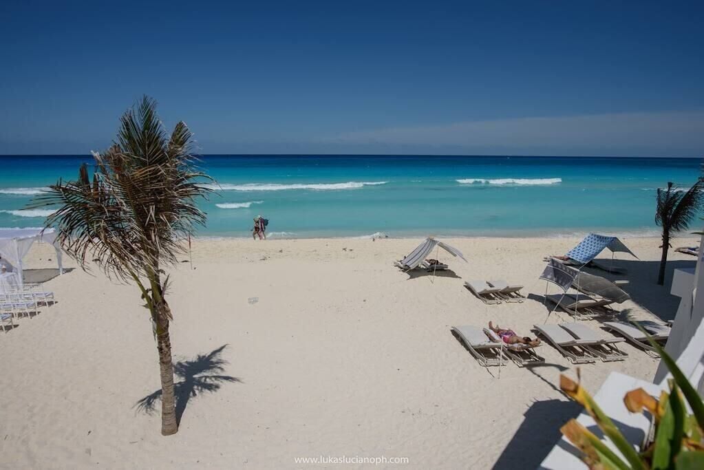 Una playa con vista clara al océano, una palmera y algunas sillas y sombrillas.