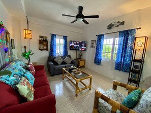 Smart TV, DVD player, books
