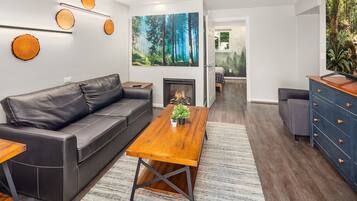 Smart TV, fireplace, computer monitors