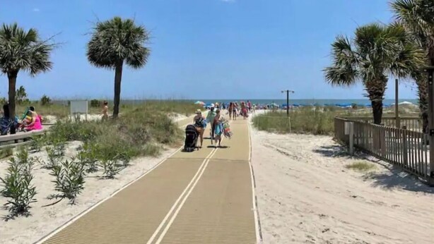 A sandy pathway with palm trees on both sides, leading to a beach area with people and beach umbrellas.