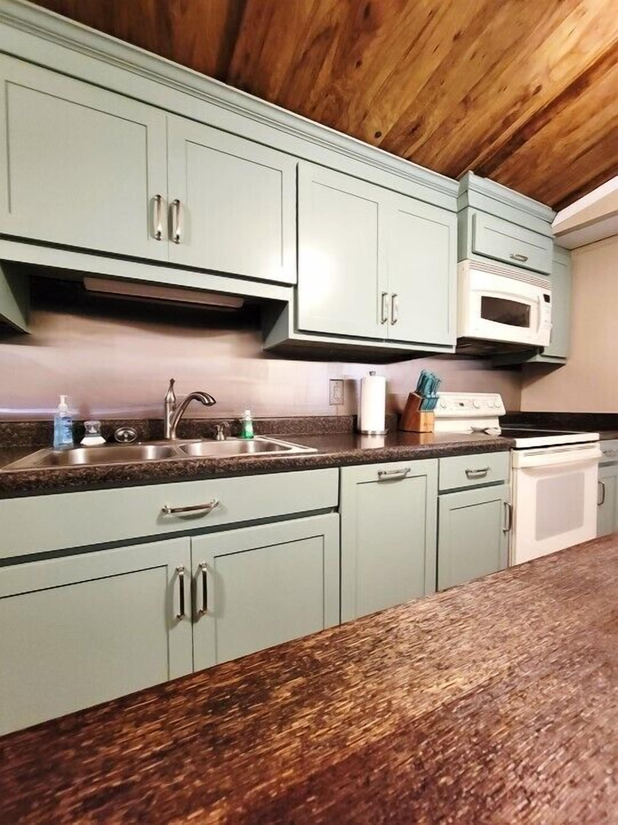 Oasis of Freedom-Pet-friendly-Downtown