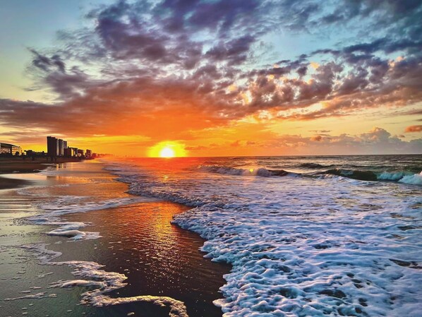 Playa en los alrededores y camastros 