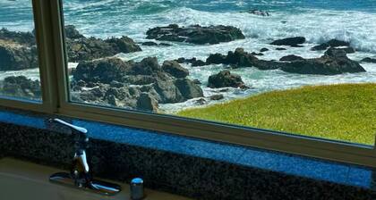 The perfect place to explore and experience northern California's lost coast..