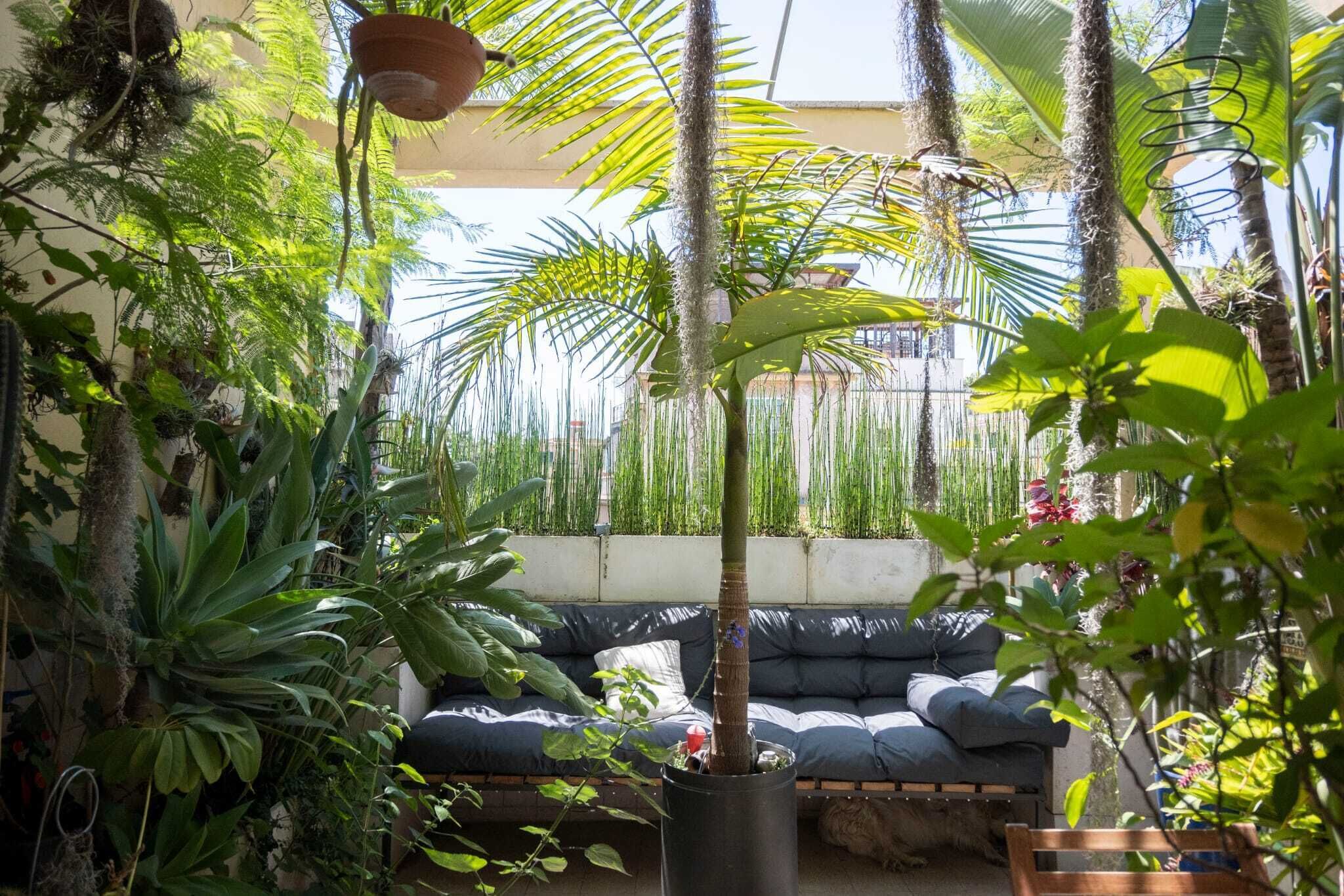 Attico con terrazzo tropicale