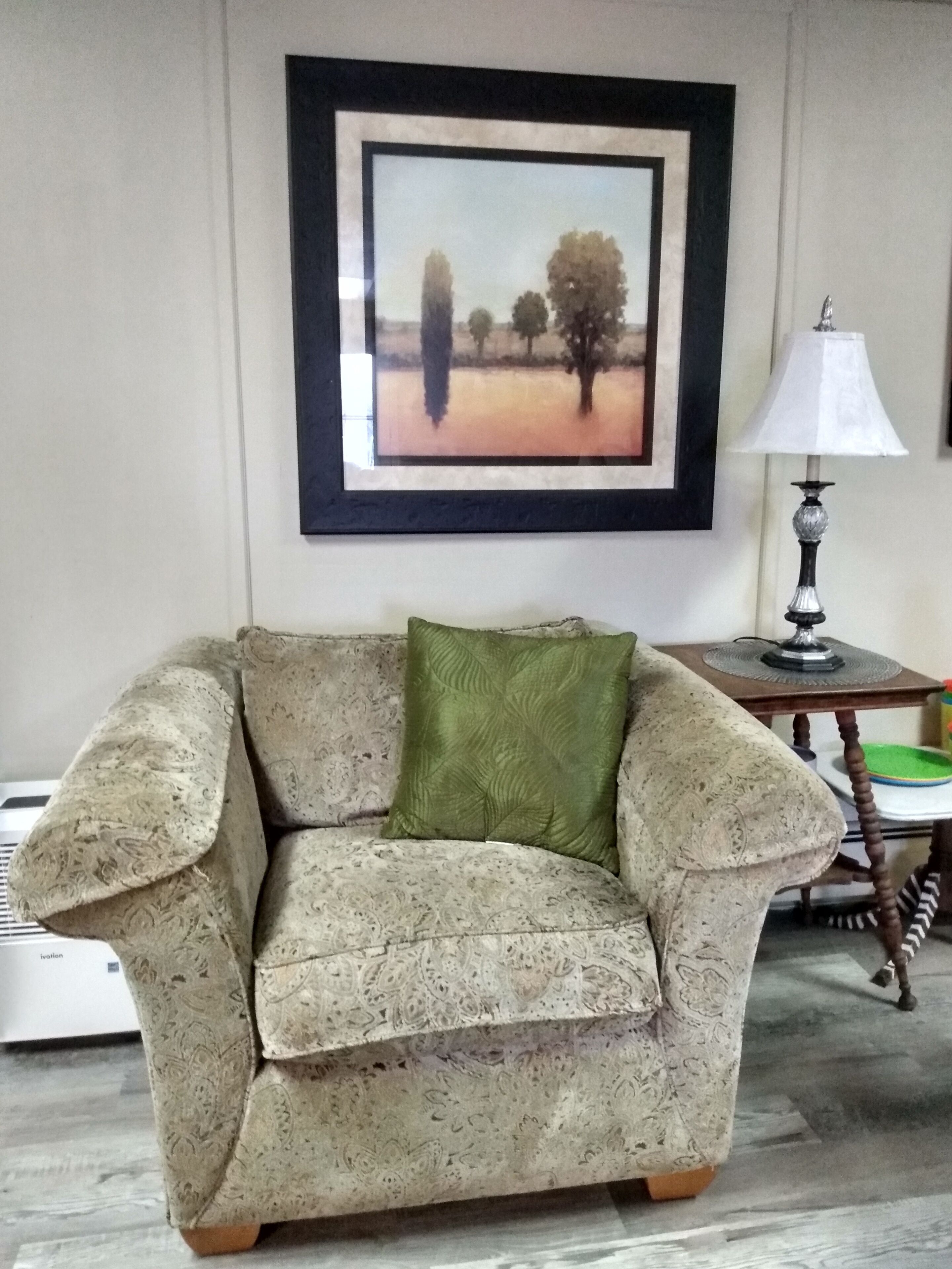 Una sala de estar con un sillón estampado, un cojín verde, un cuadro en la pared y una mesa con lámpara.