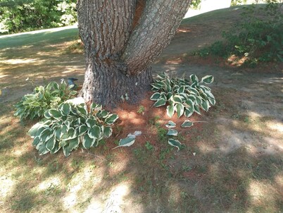 Central to VT skiing areas  5 minutes to I-89 , near VAST trails, near Norwich