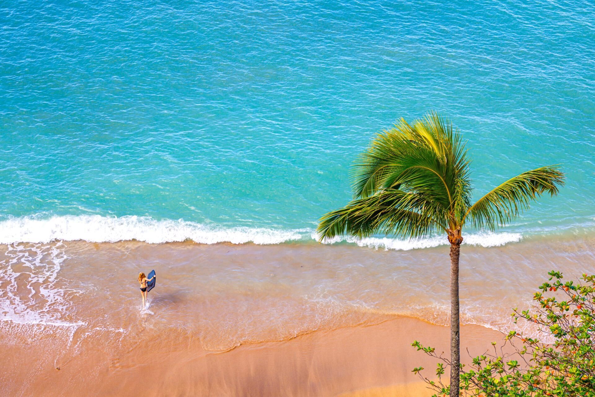 Condo (3 Bedrooms) | Playa | En la playa 