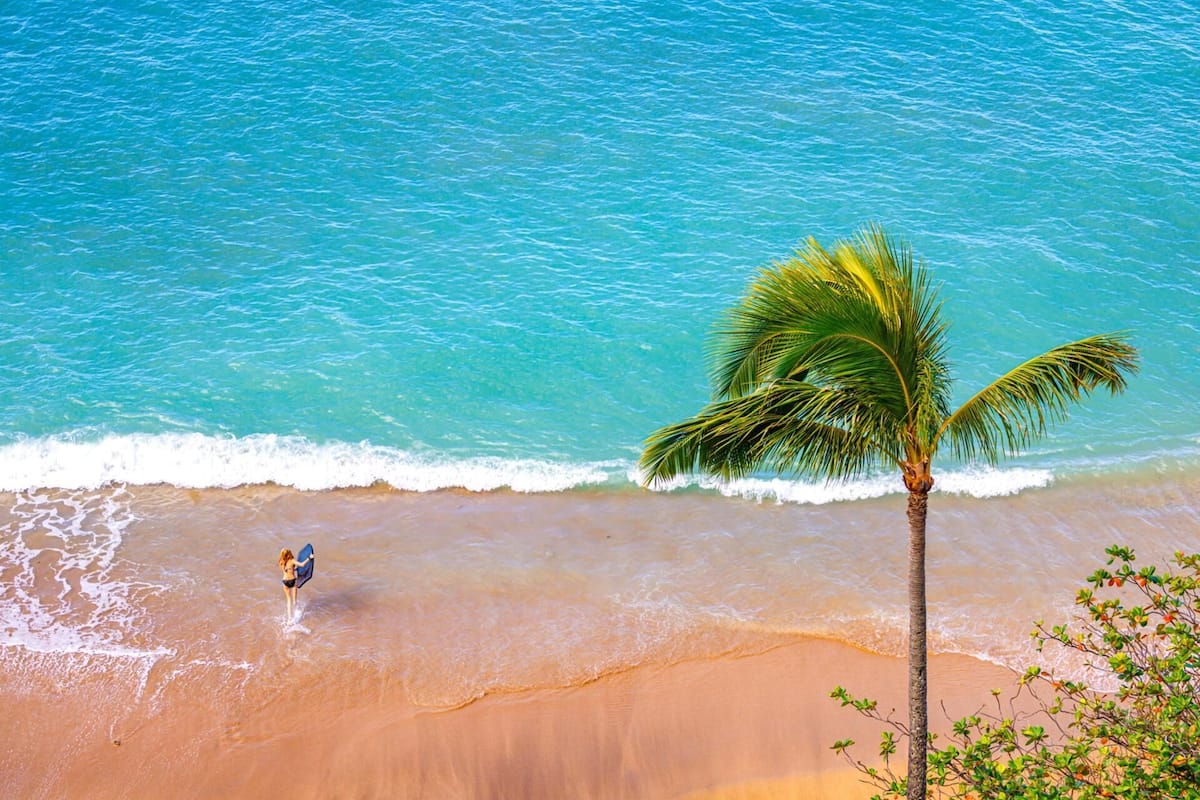 A beach with clear turquoise water, a palm tree, and a person with a surfboard.