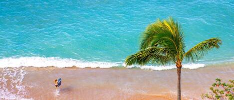 Condo (3 Bedrooms) | Playa | En la playa