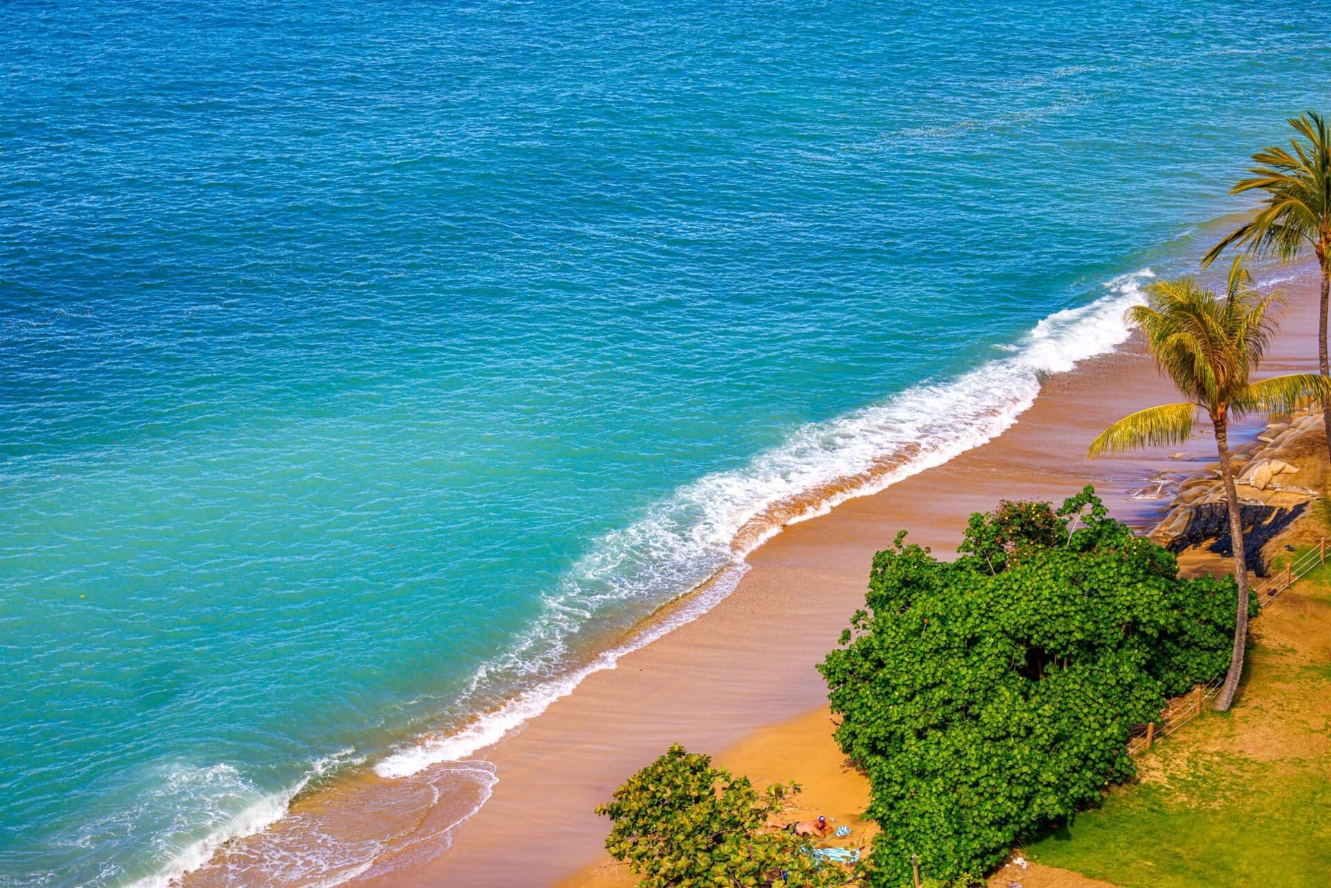 Condo (3 Bedrooms) | View from room