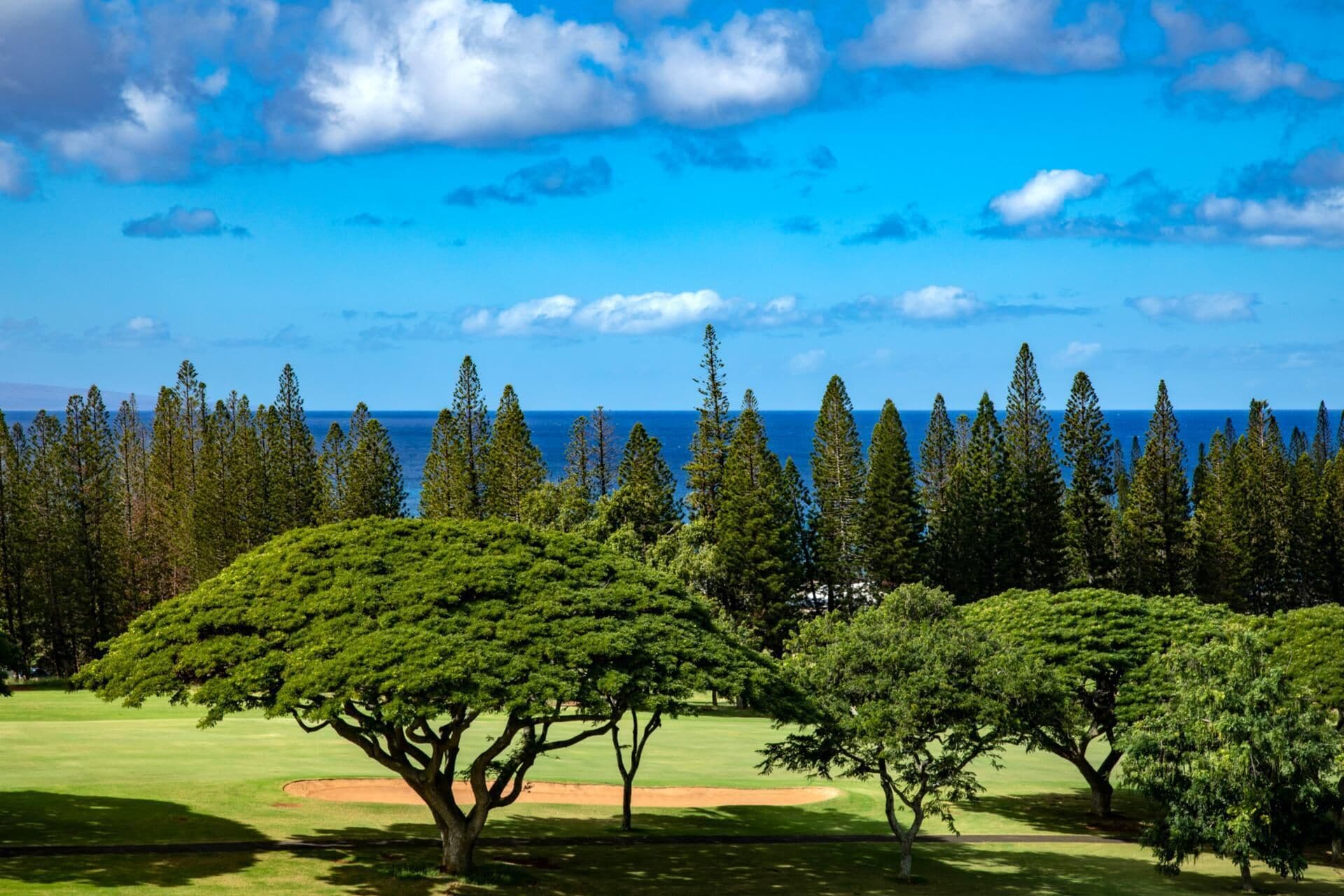 Condo (1 Bedroom) | View from room