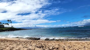 Condo (1 Bedroom) | View from room