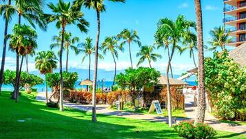 Condo (4 Bedrooms) | View from room