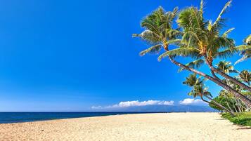 Condo (2 Bedrooms) | Beach | On the beach, white sand