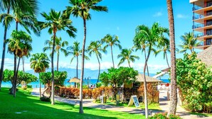 A resort with palm trees, a beach view, and a building with balconies. - Kaanapali Shores Resort by KBM (Lahaina)