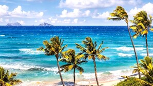 A beach with palm trees and a view of the ocean. - Kaanapali Shores Resort by KBM (Lahaina)