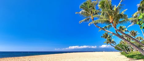 Condo (2 Bedrooms) | Beach