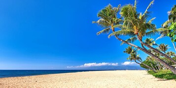 Apartamento (2 Bedrooms) | Playa | Ubicación a pie de playa y arena blanca