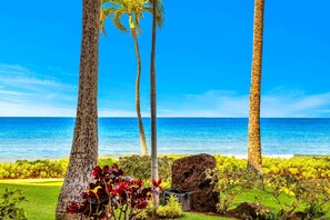 Paesaggio tropicale con palme, una grande roccia e vista sull'oceano.