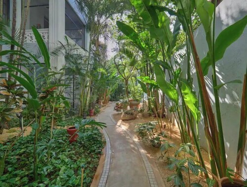 Oasis in Centro w/Pool