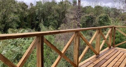 Los Canelos de Cayumapu