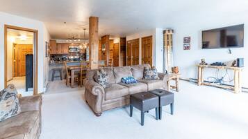 Televisión, chimenea y reproductor de DVD