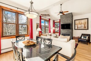 Televisión, chimenea, reproductor de DVD y libros 