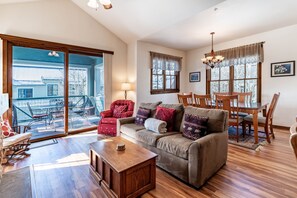 TV, fireplace, DVD player