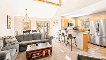 电视、壁炉、DVD 播放器