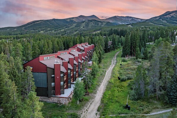 A row of modern multi-story buildings with a dirt path leading to them, surrounded by dense forest and mountains in the background.