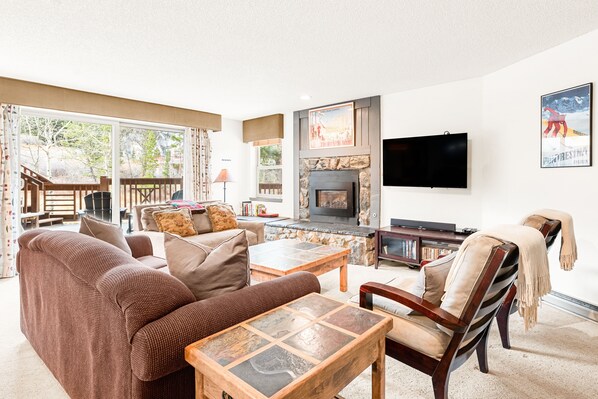 TV, fireplace, DVD player, books