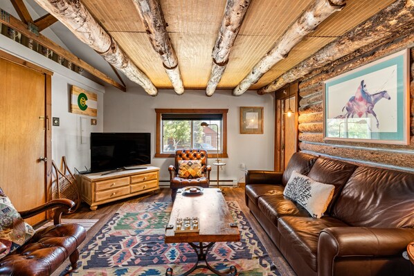 Smart TV, fireplace, DVD player, books