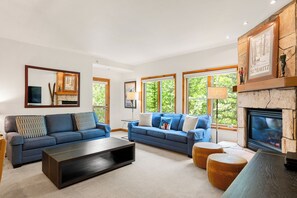 TV, fireplace, DVD player