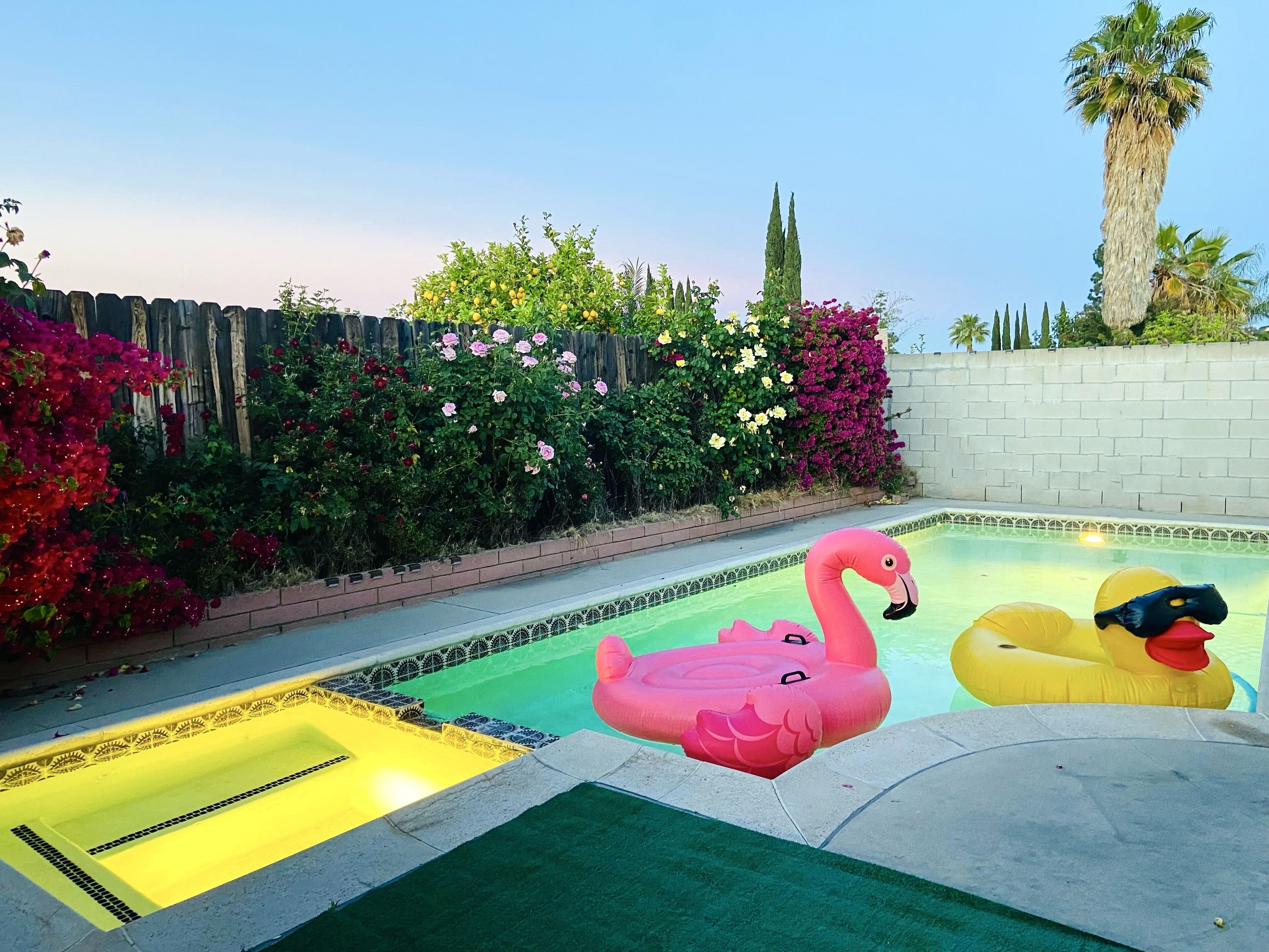 Sunny Socal Pool House near Disney