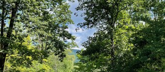 Junebug Cottage: peace, love and privacy a short walk to Woodstock village green