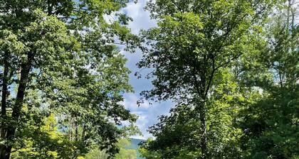 Junebug Cottage: peace, love and privacy a short walk to Woodstock village green