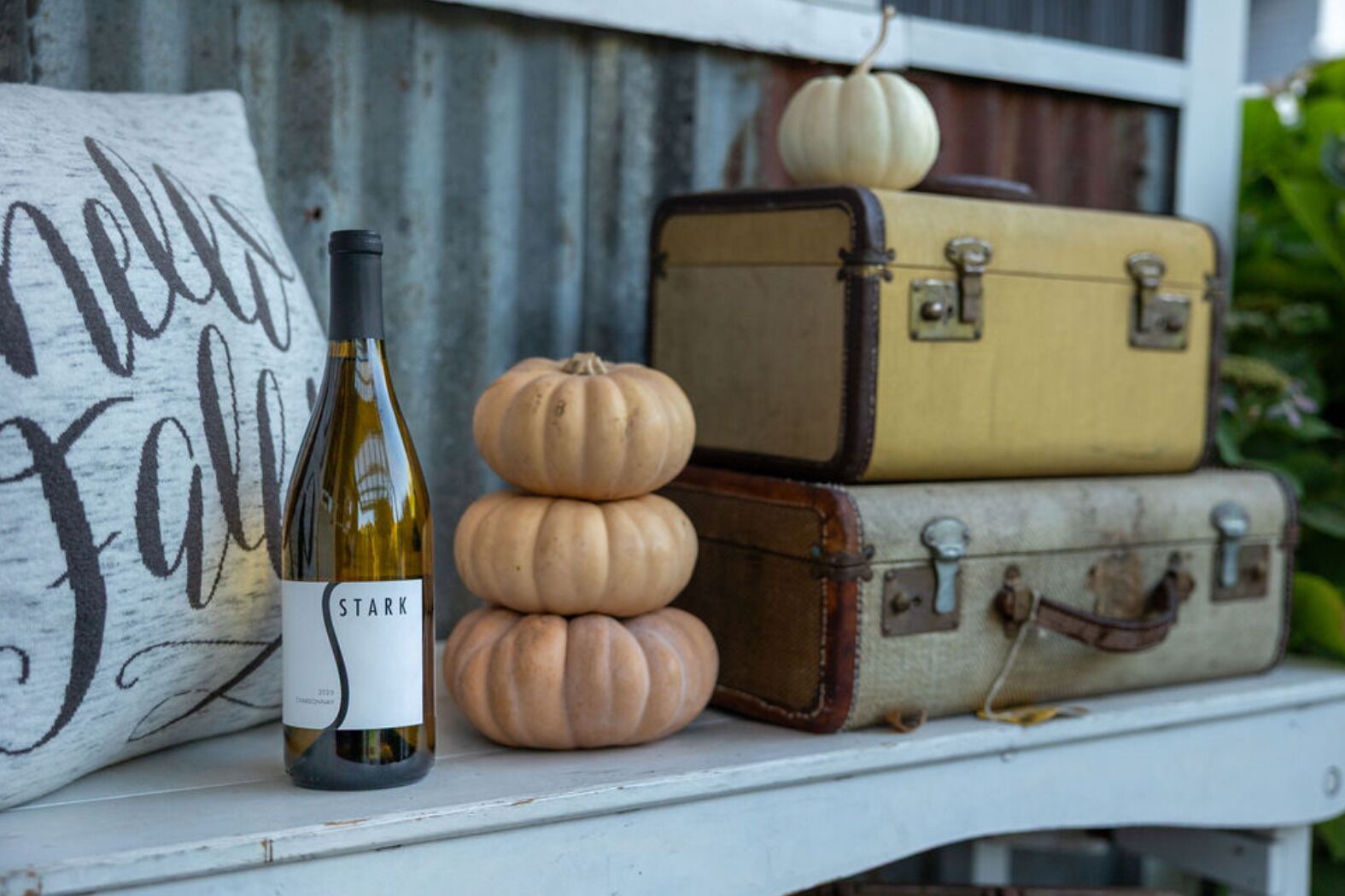 A bottle of wine, stacked suitcases, and a pumpkin on a white surface.