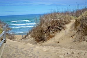 Playa