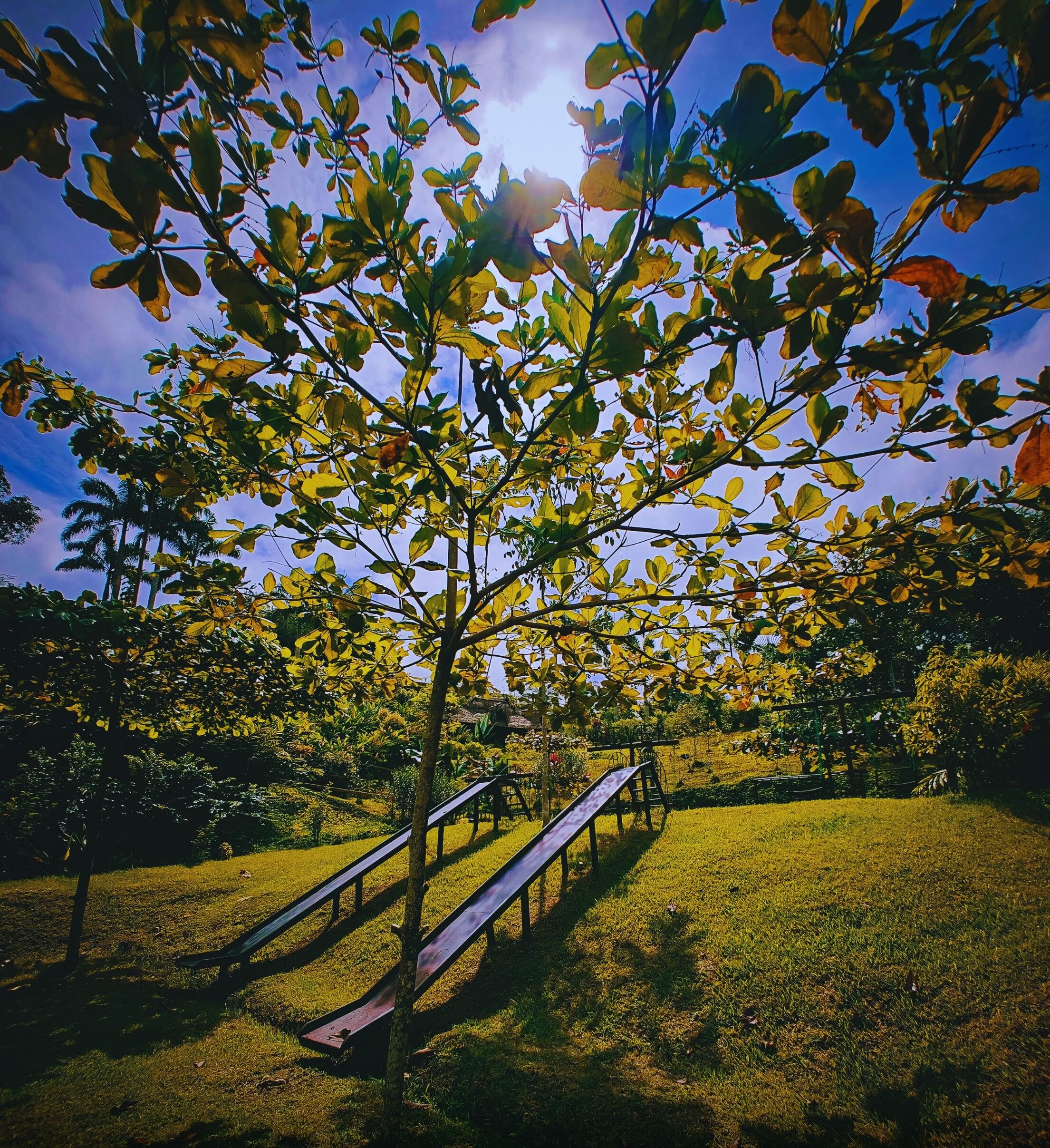 Overnattingsstedets uteområder